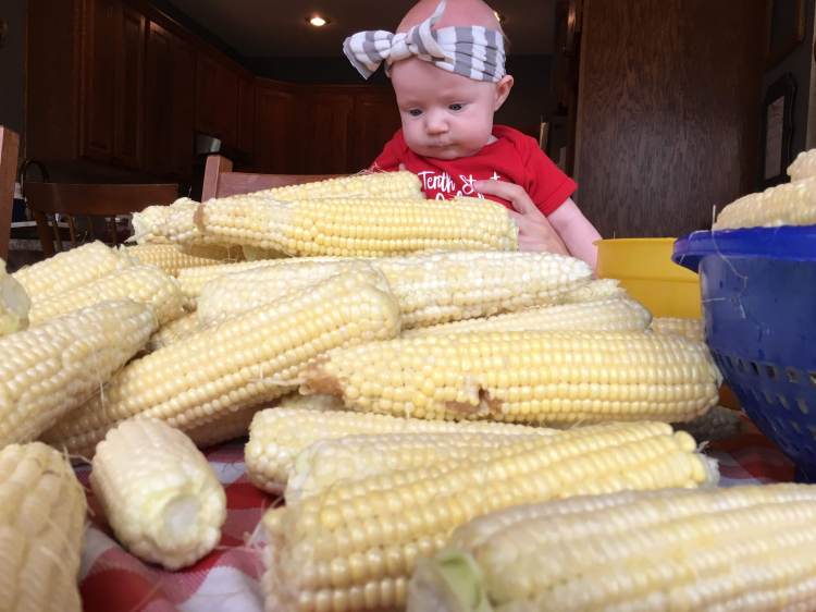 d12b66a5-4a72-4906-9e5e-e3fa73a701d8