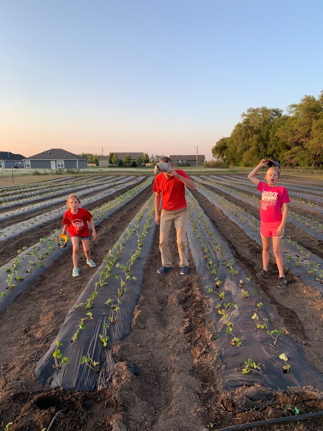 Tenth Street Orchard photo 10