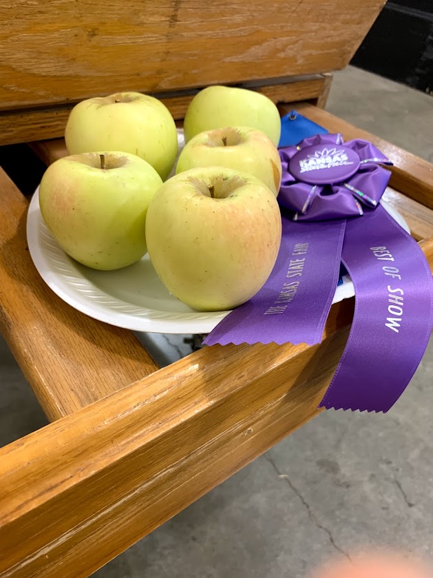 Tenth Street Orchard photo 13